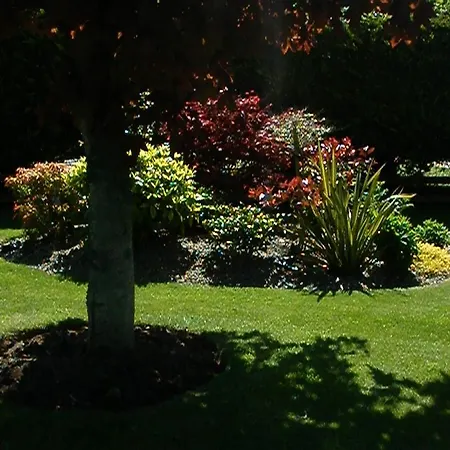 Aisling Bed & Breakfast B&B Mooncoin