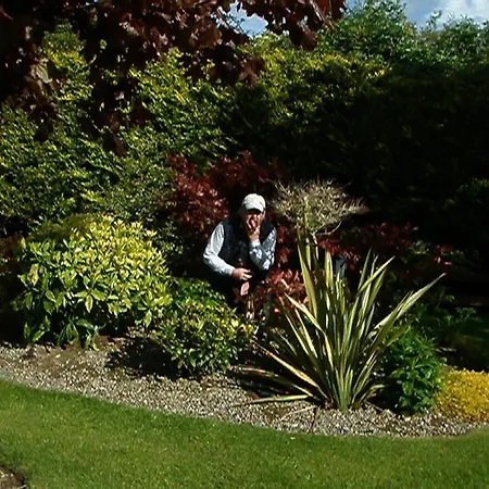 Aisling Bed & Breakfast B&B 4*